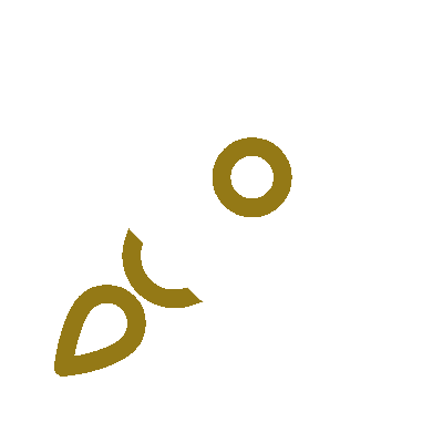 Mission Icon